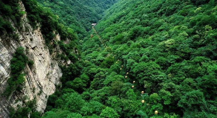 暴雨引发洪水 澳大利亚西部部分地区陆路交通中断