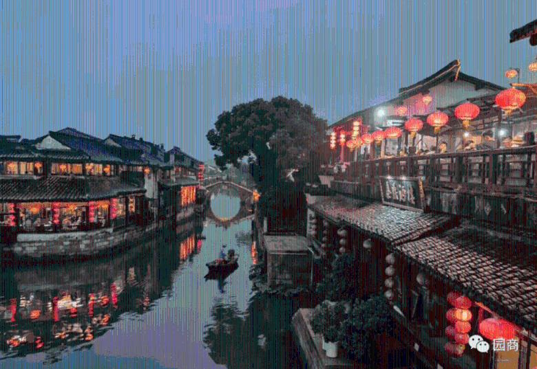 网友好心抱回一只流浪猫,照顾三个月之后,直呼自己养不起